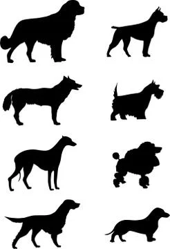 Dogs silhouette Illustrazione stock