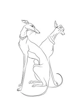 Dogs sitting, lines, vector Illustrazione stock