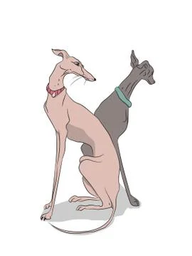 Dogs sitting, lines, vector Stock Illustration