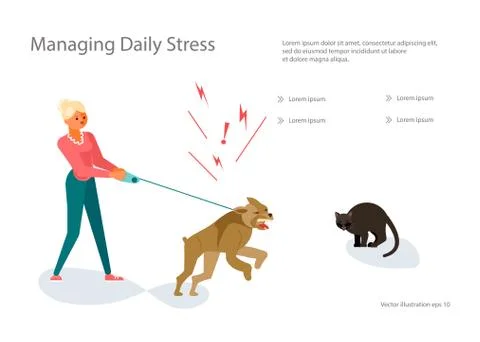 Dogs Training School Stock Illustration
