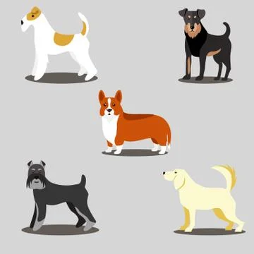 Dogs vector set of icons and illustrations Stock-Illustration