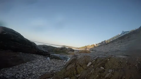 A dogs view of the beach Video stock 244385110