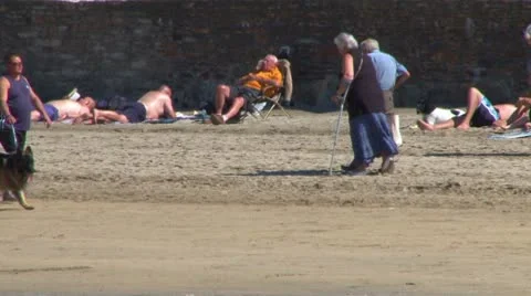 Dogs Walked on Beach Stock Footage 8951674