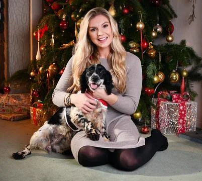 Dogs who went missing for up to five years returned to their owners, UK - 27 Dec 写真素材
