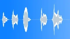 DOG,SIBERIAN HUSKY Sound Effect