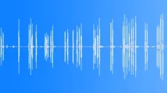 DOG,SIBERIAN HUSKY Sound Effect