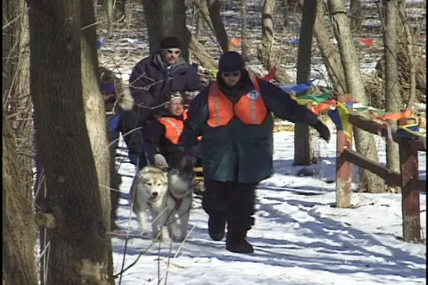 Dogsled Rescue Stock Footage 297426