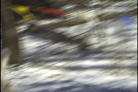 Dogsledding Stock Footage 297427