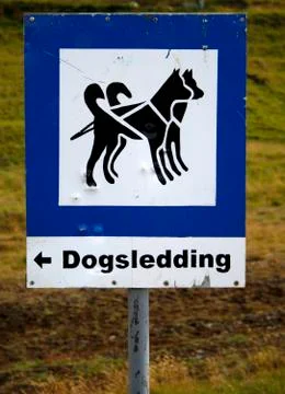 Dogsledding Stock Photos