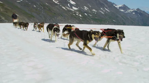 Dogsledding team in motion high mountain pass, Alaska Stock Footage 39803583