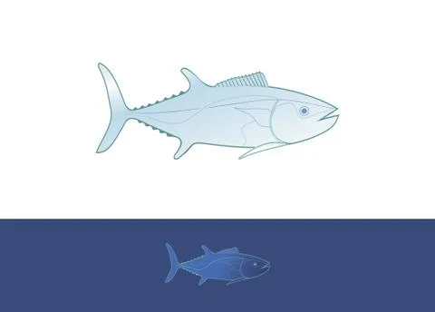 Dogtooth tuna Stock Illustration