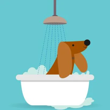 Dogwash Stock Illustration