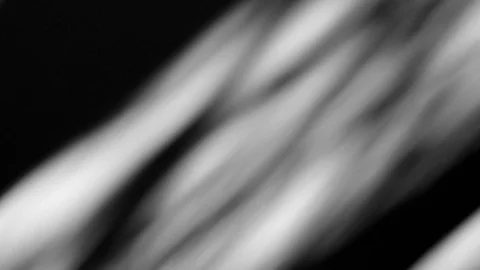 Dogwood with Sandstone2 Dappled Light motion background Stock Footage 86488018