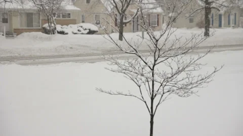 Dogwood tree covered in snow medium shot 스톡 동영상 34604590