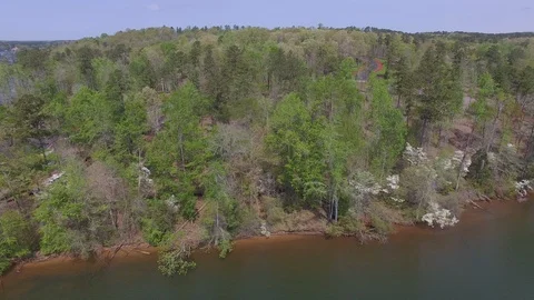 Dogwoods on Lake Stock Footage 115652054