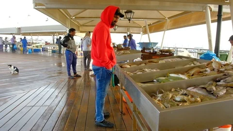 Doha corniche fish market Video stock 125319398