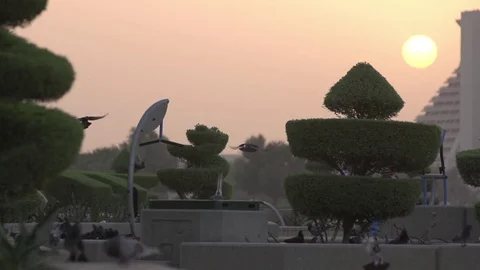 Doha Corniche Sunrise Qatar 動画素材 76942437