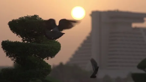 Doha Corniche Sunrise Qatar 動画素材 76946895