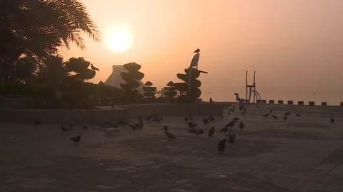 Doha Corniche Sunrise Qatar Stock Footage 76970093
