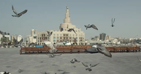 Doha, Qatar - Pigeons flying in front of Islamic Cultural Center Video stock 221573585