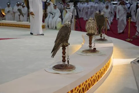 Doha, Qatar. September 12, 2024. The 8th edition of the Katara International Stock-Fotos