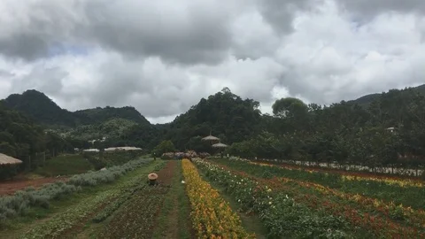 Doi ang khang timelapse Stock Footage 79303920