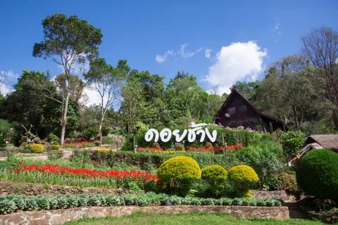 Doi chang Stock Photos