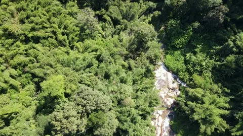 Doi Inthanon Forest Valley Stock Footage 310656138