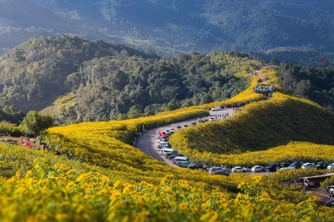 Doi Mae Ou Kor Stock Photos
