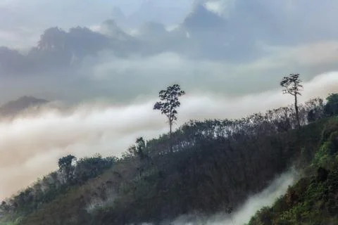 Doi TaPang Stock Photos
