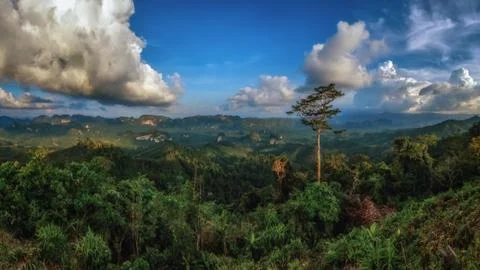Doi TaPang Stock Photos