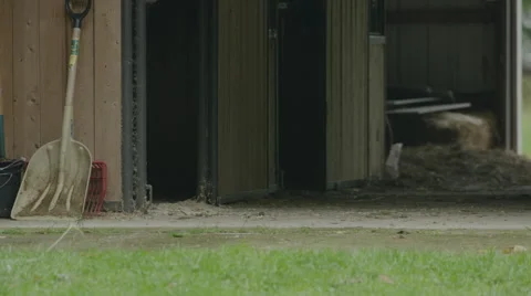 Doing Chores Video stock 68751462