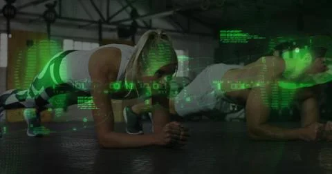 Doing forearm plank two workout partners in sportswear on rubber floor, showing Stock Photos