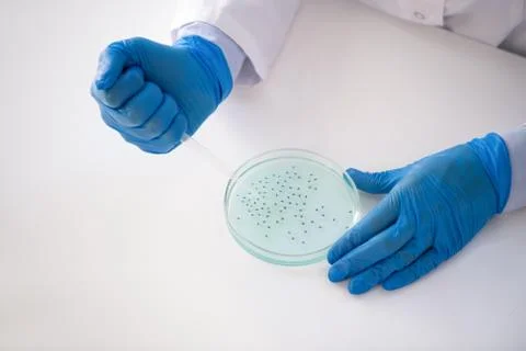 Doing microbiological research 스톡 사진