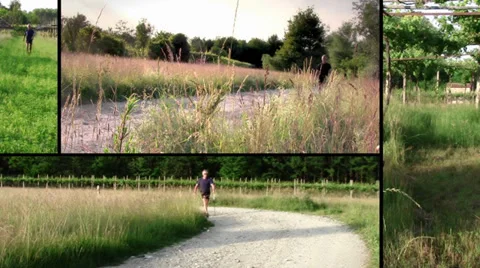 Doing nordic walking, collage Stock Footage 33726432