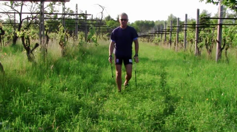 Doing nordic walking Video stock 34822551