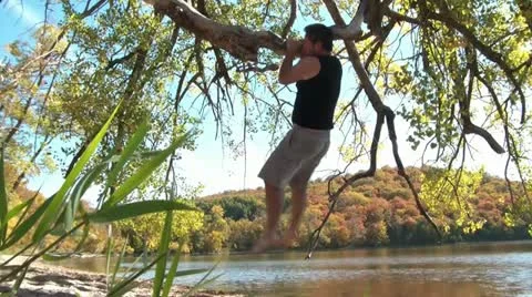 Doing Pull-Ups on Tree in Fall Video stock 12611367
