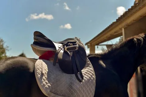 Doing saddle on the back of a horse Stock Photos