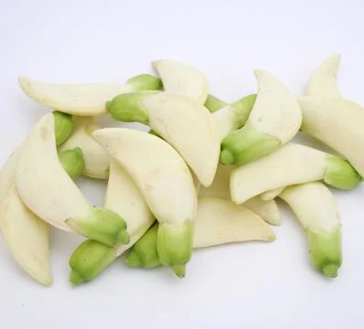 Dok kae Stock Photos