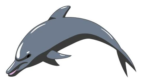 Dolfin on the white background Stock Illustration