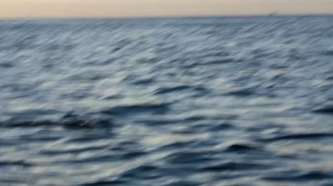 Dolfins 1 Stock Footage 7754084