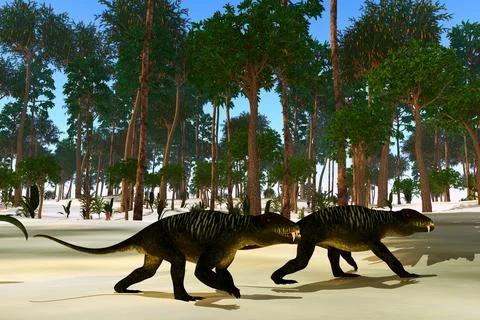 Doliosauriscus Therapsid Animals Stock Illustration