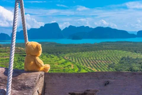 A doll bear Sitting on the swing Stock Photos