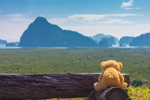 A doll bear Sitting on timber Stock Photos