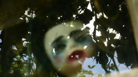 Doll behind glass, reflection of moving tree branches Stock Footage 135387685