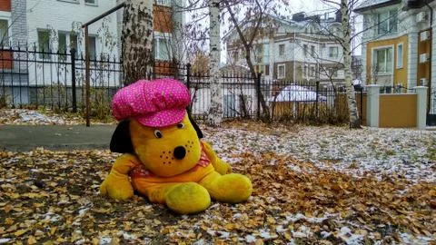 Doll dog Stock Photos