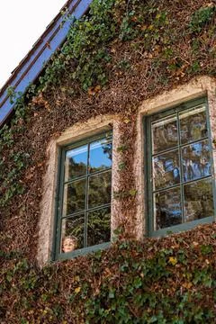 Doll Face Fotos de archivo