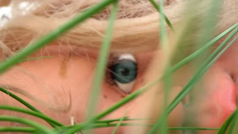 Doll lying in the bush, Macro shot Stock Footage 304921189