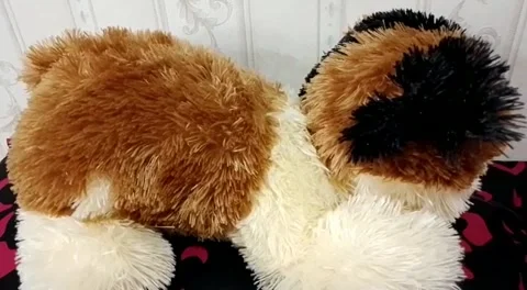 A doll on the pillow Stock Footage 219986653