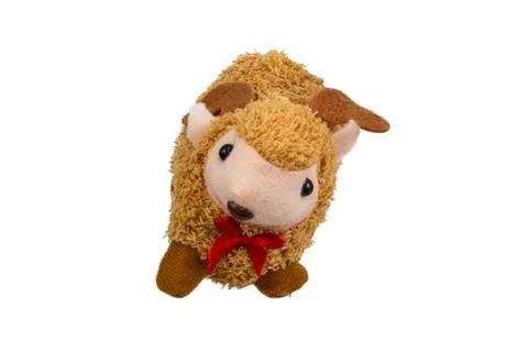 Doll sheep isolated on white background Stock Photos